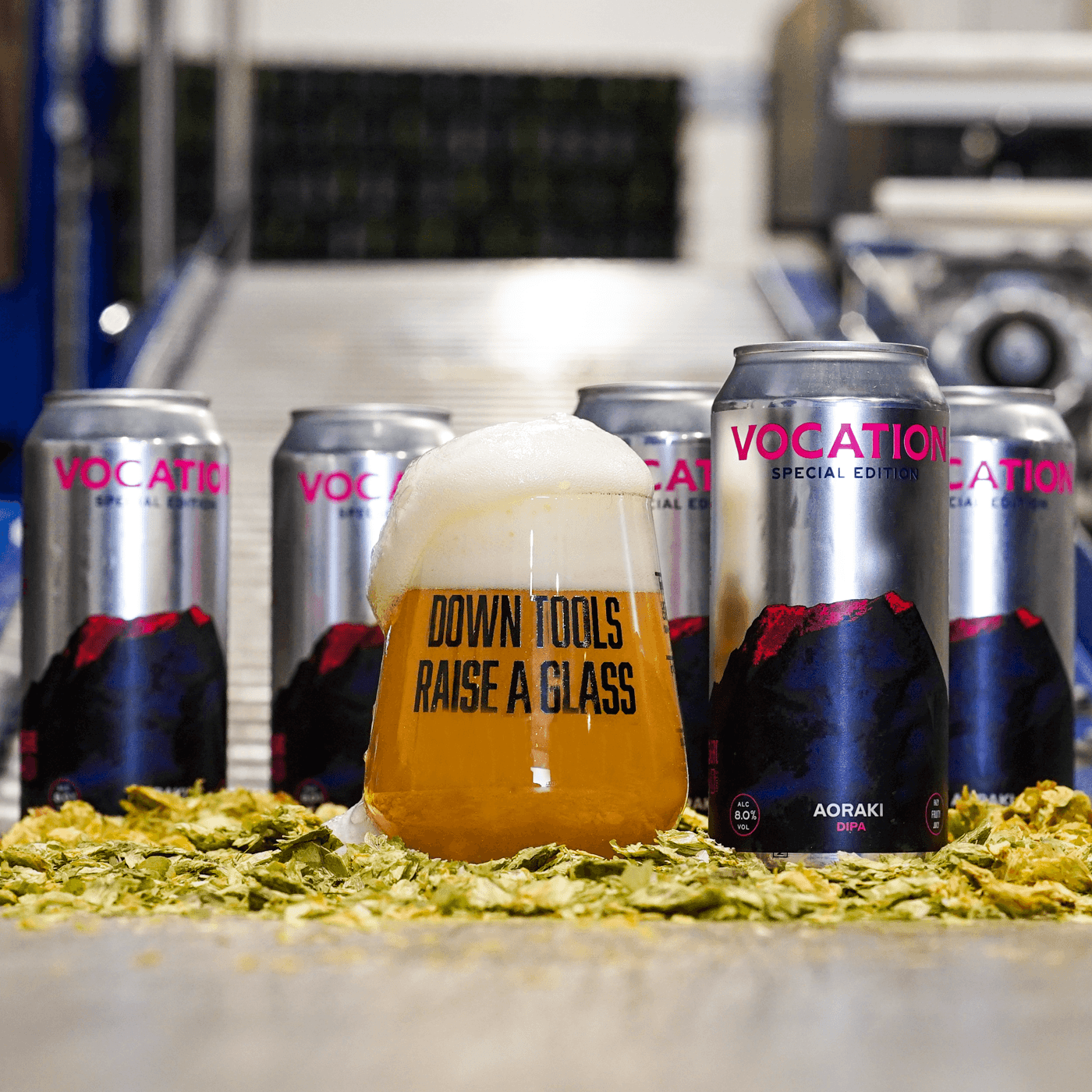 New Zealand DIPA | Aoraki - Vocation Brewery