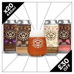 Big Value Stout Case | Mixed Stout Pack | 20 x 440ml & 2 Glasses - Vocation Brewery
