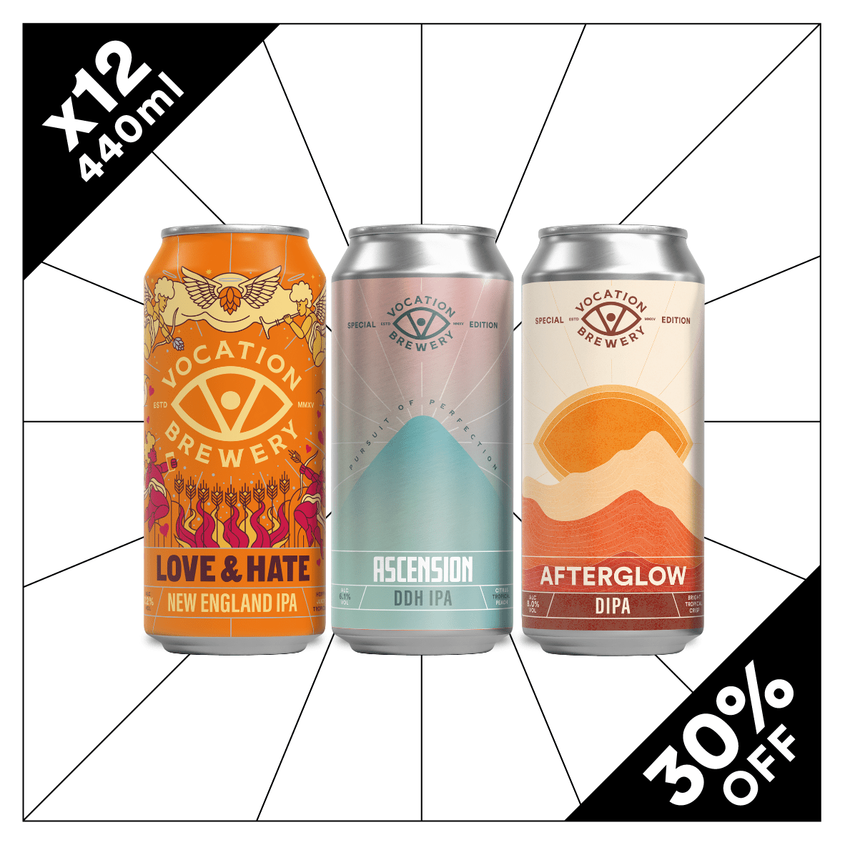Heavy Hitters Pack | Bold Beers Mixed Pack | 12 x 440ml - Vocation Brewery