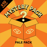 Vocation Pale Mystery Pack | 10 x 440ml - Vocation Brewery